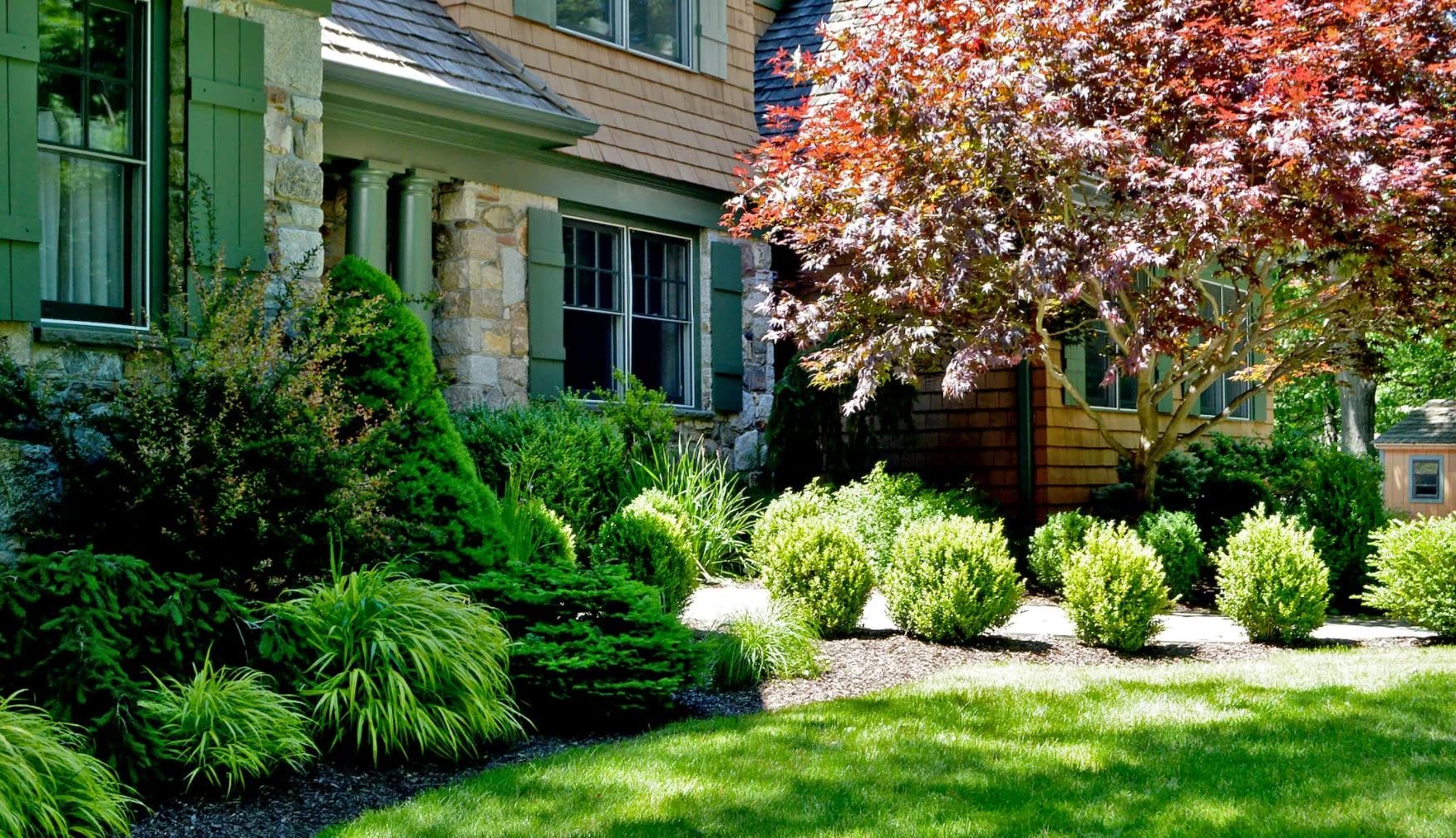 Tree & Shrub Planting Services in Cary, NC