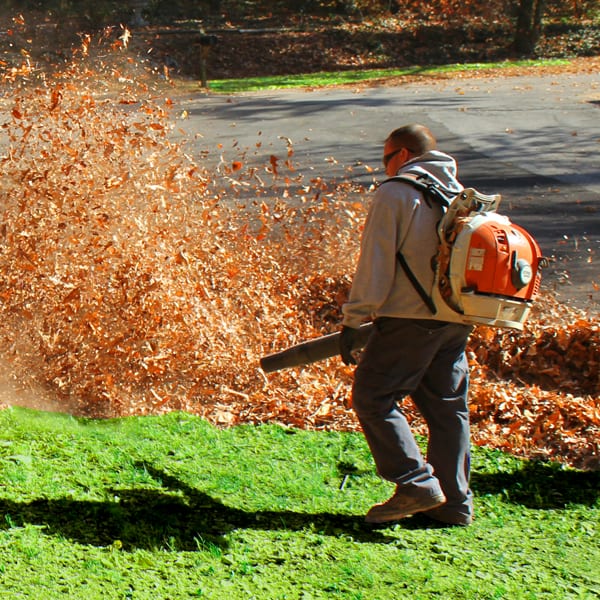 Leaf Removal project 3