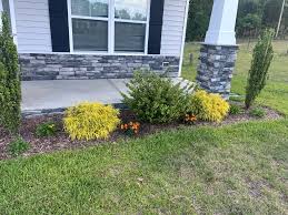 Tree & Shrub Planting project 4