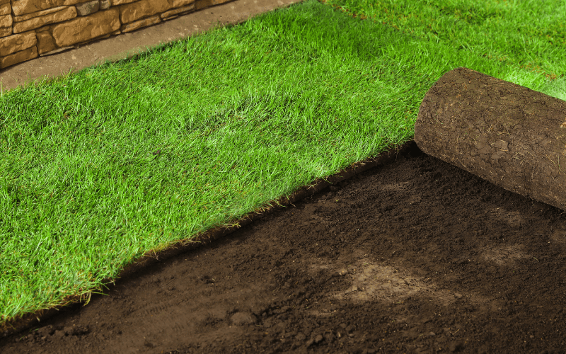 Sod Installation Services in Cary, NC